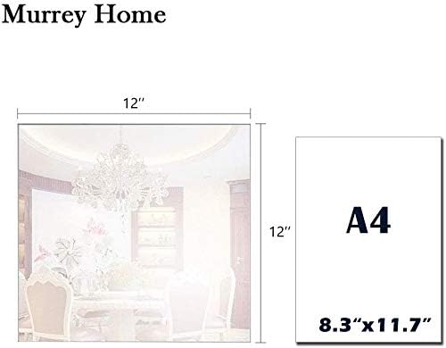 Murrey Home Wall Mirror for Home Gym Mirror, Full Length Mirrors Wall Mounted, Frameless Full Body Mirror Tiles for Wall, Door, Garage, 12" x12PCS