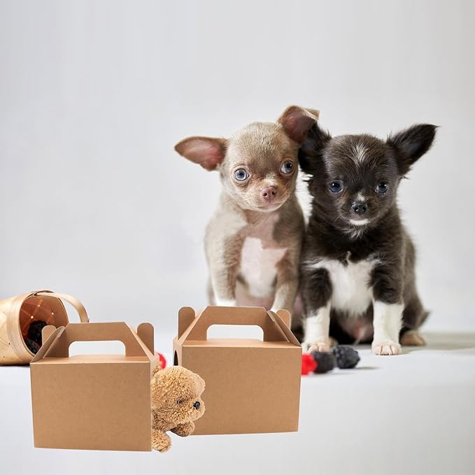 Hiyoo 24 PCS Adopt Pet Gift Boxes with Windows, Party Favors Boxes Foldable Candy Goodie Cases Decorations for Birthday Wedding Bridal Shower Party Favors, 5.5 x 3.5 x 3.5 Inch