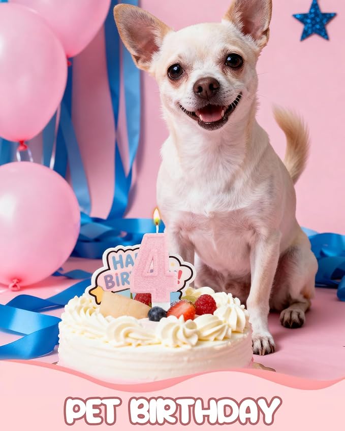 Birthday Candles for Cake, Pink Number Candles, Cake Candles with Greeting Card for Birthday Party Wedding Anniversary Celebrations (Bright Pink 4 Candle)
