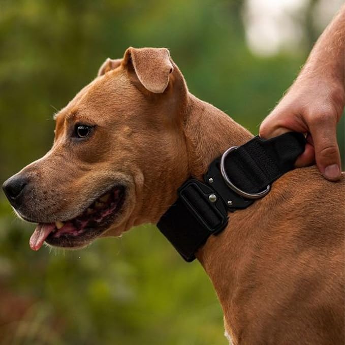 Spark Paws Tactical Dog Collar - Heavy Duty, Premium Quality, Thick and Durable for Large and Medium Dogs - Black - S - 1.5"