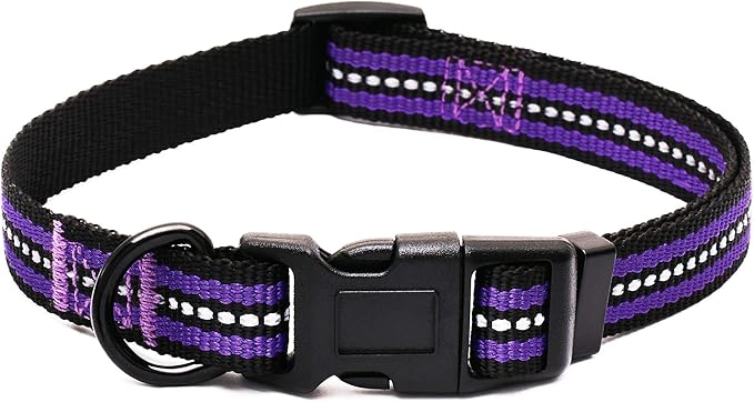 Mile High Life Reflective Dog Collar | Nylon Pet Collars wiith Buckle | Light Weight Puppy Collars | Purple Dog Collars for Small Dogs (Purple, X-S)