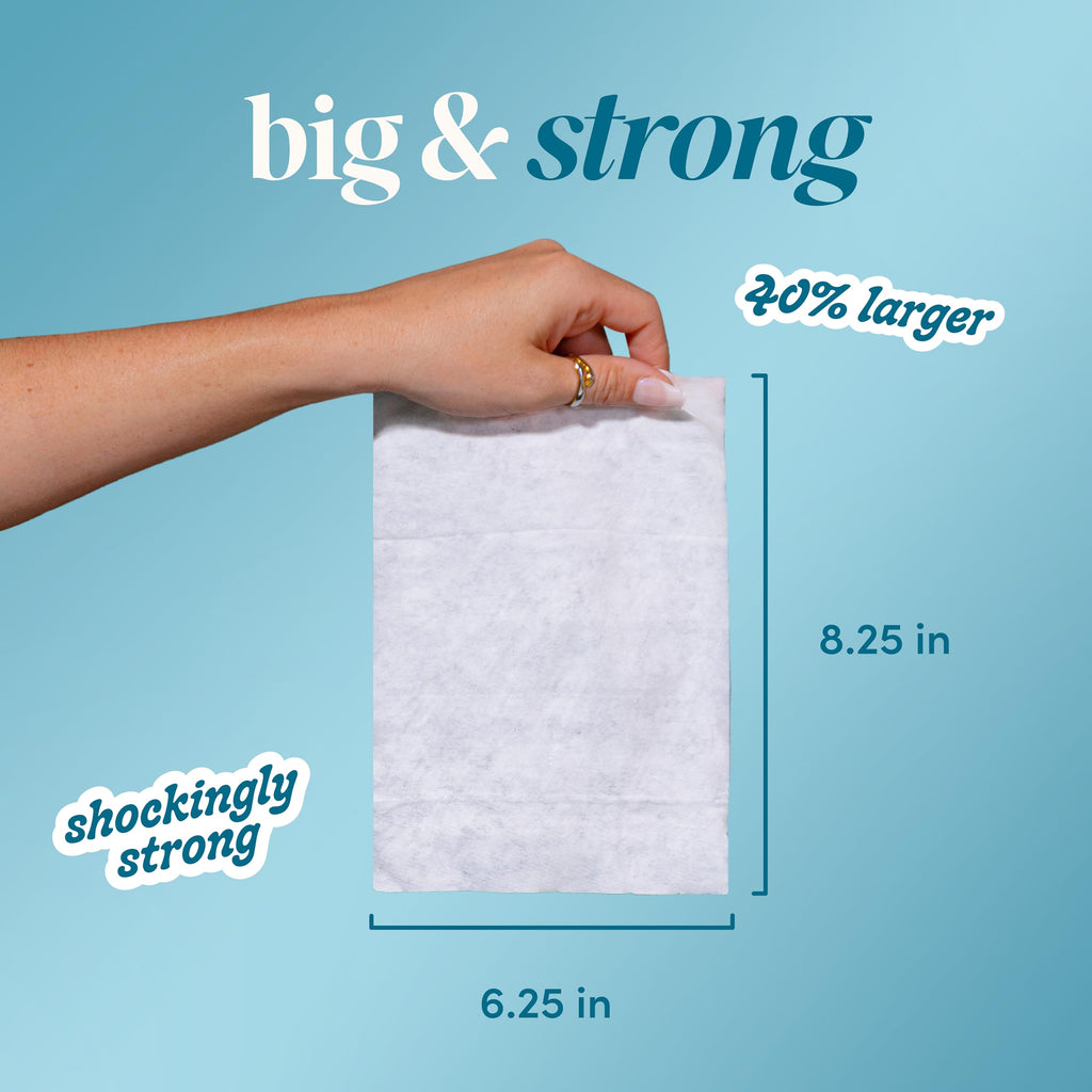 Flushable Wipes (418 Count)