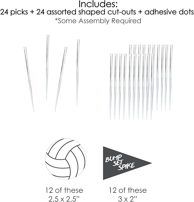 Big Dot of Happiness Bump, Set, Spike - Volleyball - Dessert Cupcake Toppers - Baby Shower, Birthday Party Clear Treat Picks - Set of 24