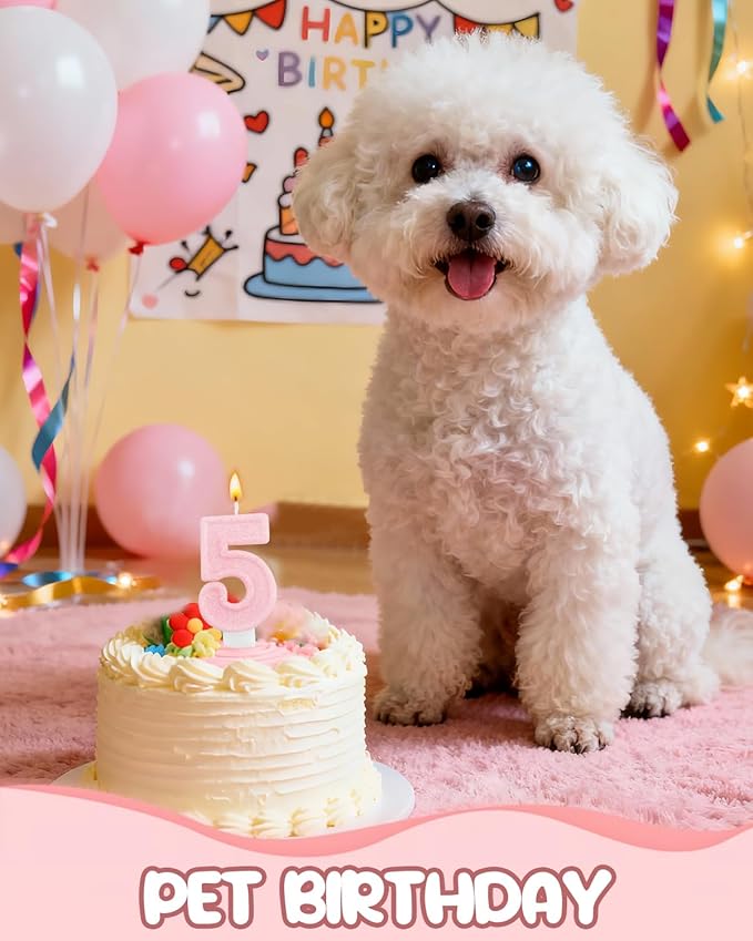 Birthday Candles for Cake, Pink Number Candles, Cake Candles with Greeting Card for Birthday Party Wedding Anniversary Celebrations (Bright Pink 5 Candle)