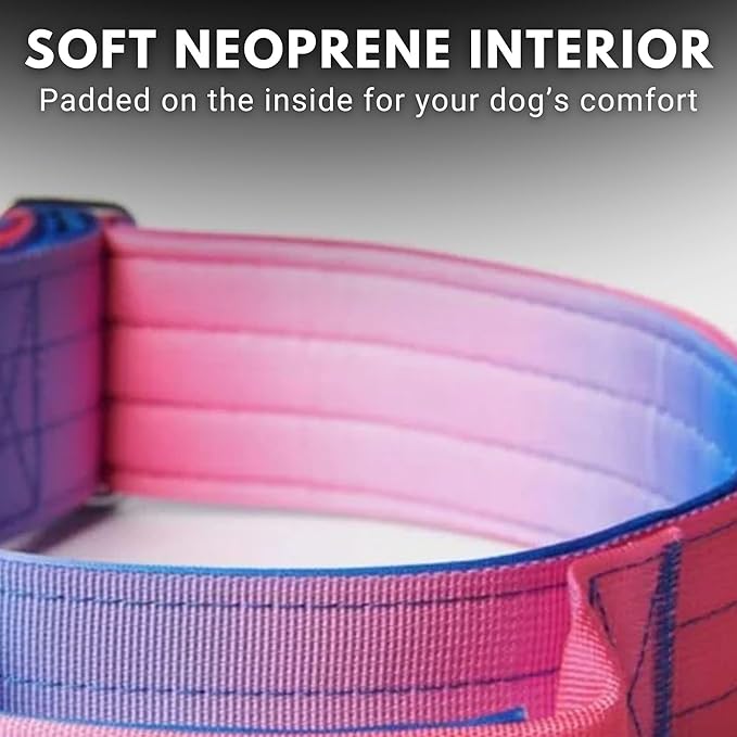 Spark Paws Tactical Dog Collar with Handle - Premium Quality Collar, Robust and Durable Design for Large, Strong Breeds - Pitbulls, Labradors, GSD - Snow Cone - L -1.5"