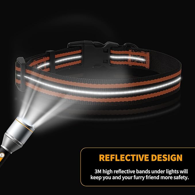 Mile High Life Reflective Dog Collar | Nylon Pet Collars wiith Buckle | Light Weight Puppy Collars | Orange Dog Collars for Small Dogs (Orange, X-S)