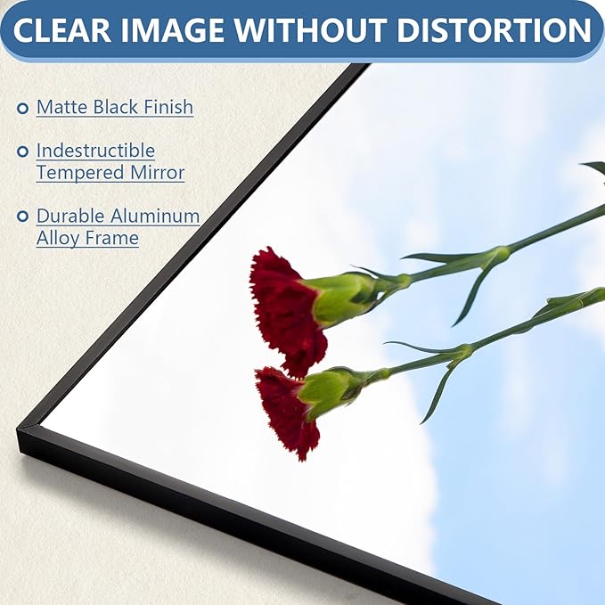 71"X32" Floor Mirror Full Length with Stand, Black Rectangle Large Free Standing Full Length Body Mirror for Gym Bedroom Living Room, Tempered Glass, Aluminum Alloy Frame