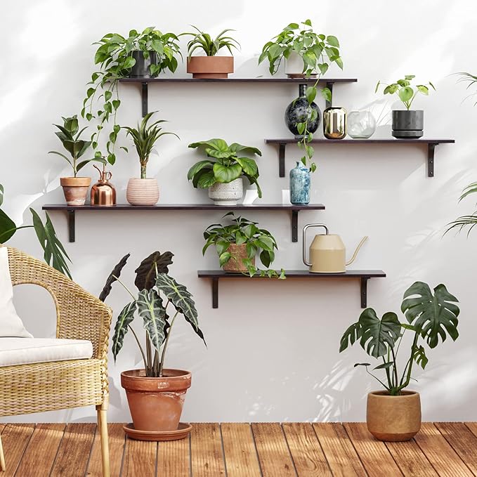 DINZI LVJ Long Wall Shelves, 31.5 Inch Wall Mounted Shelves Set of 2, Easy-to-Install, Floating Storage Ledges with Sturdy Metal Brackets for Living Room, Bathroom, Bedroom, Kitchen, Espresso