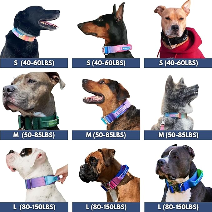 Spark Paws Tactical Dog Collar - Heavy Duty, Premium Quality, Thick and Durable for Large and Medium Dogs - Purple - XS - 1"