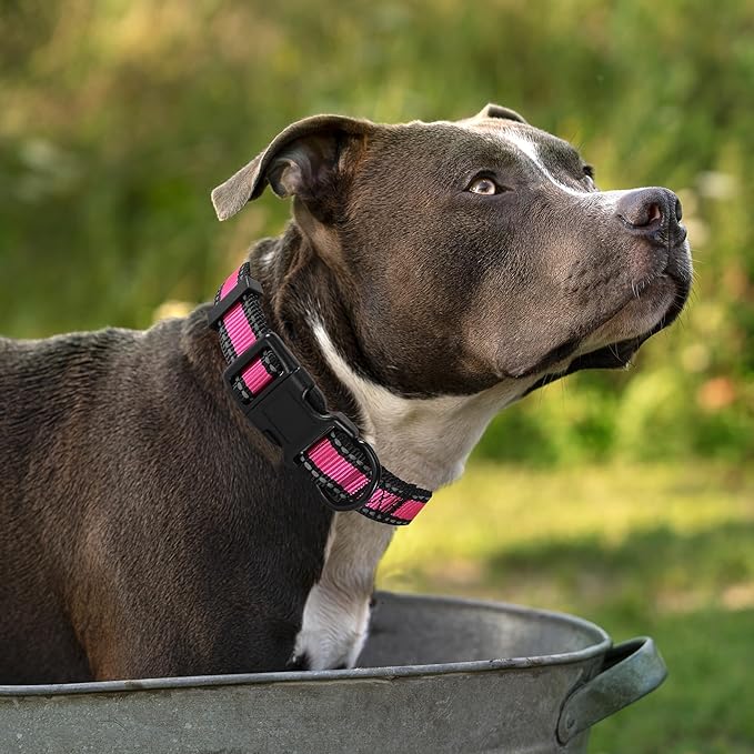 Mile High Life Dog Collar | Nylon Reflective Dog Collars | Light Weight Puppy Collars | Pink Dog Collars for Large Dogs (Pink, Large)