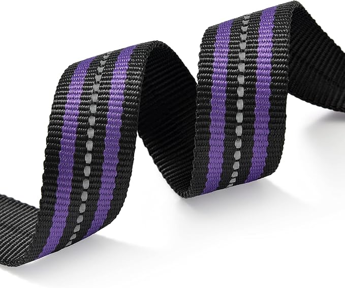 Mile High Life Reflective Dog Collar | Nylon Pet Collars wiith Buckle | Light Weight Puppy Collars | Purple Dog Collars for Small Dogs (Purple, X-S)